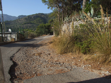 Un dels carrers de la urbanització de Muleta I.