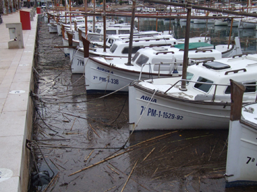 Estat que presentava el port avui