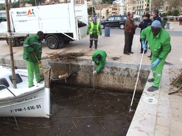 Els treballadors retirant les canyes de l'aigua