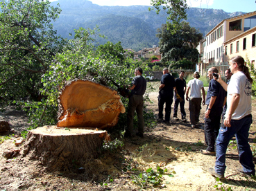 El transport amb camions petits dispara el pressupost.