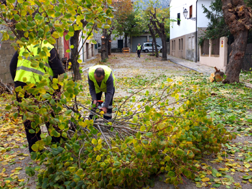 Els treballs es localitzen a Joan Canals