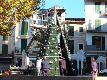 Operaris instal.lant l'arbre, avui migidia