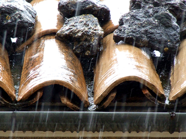 Una canal recull l'aigua d'un ruixat d'avui