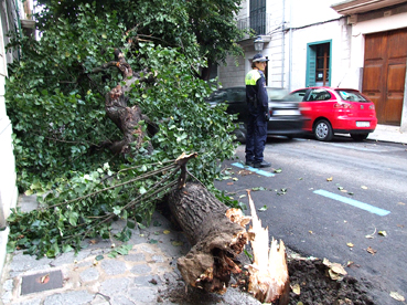 La Policia regulant el tràfic al carrer