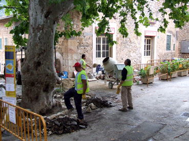 Operaris de Tragsa treballant.