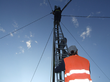 Uns operaris treballant en el pal elèctric de la zona