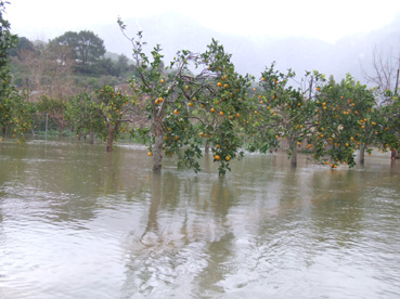 Un dels horts inundats per les intenses i duradores pluges.