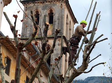 Un exsecallador en plena tasca