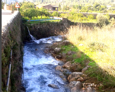 Els torrents han revengut amb força per les pluges