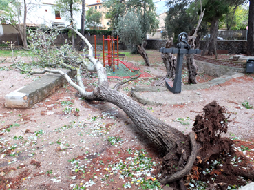 El poll ha trabucat damunt el parc infantil
