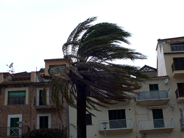 El vent bufa amb intensitat avui