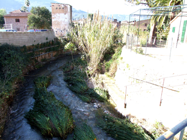 El vial seguiria el traçat del torrent.