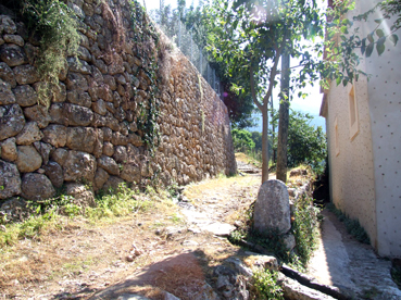 El camí de Sa Costa netejat a costa dels veïnats