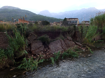 L'esboldreg que presenta el torrent