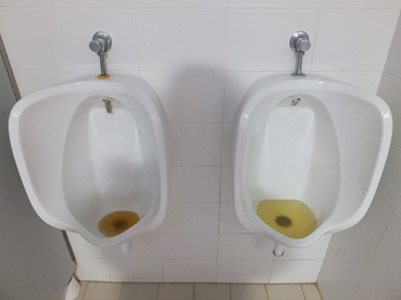 Una imatge captada aquesta mateixa setmana.