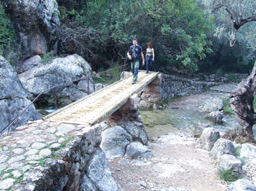 Un dels ponts instal.lats pel Consell.