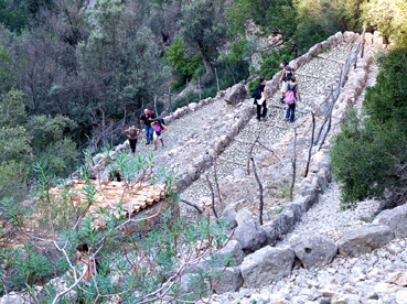 El camí del Barranc de Biniaraix.