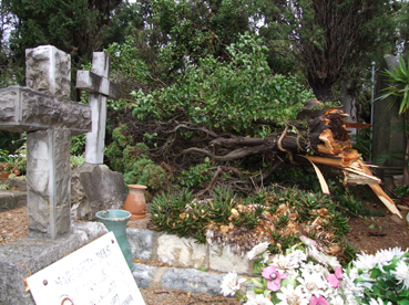 El cementeri sofreix importants danys