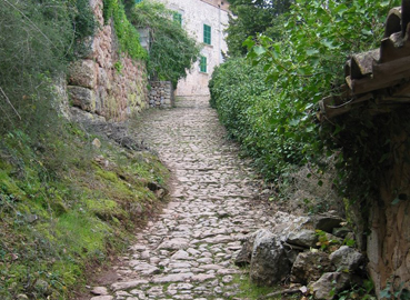El camí que passa pel costat de l'oratori de Castelló.
