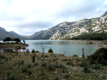 L'accident s'ha produït al costat de Cúber