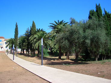 Totes les palmeres estan afectades
