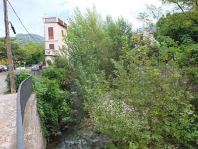 Diversos arbres del torrent que seran eliminats en breu