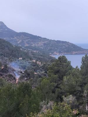 Les restes del foc, avui dematí a primera hora