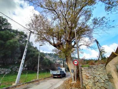 El poll situat a la carretera del Camp de Sa Mar.