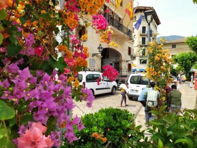 Flors i plantes guareixen la Plaça
