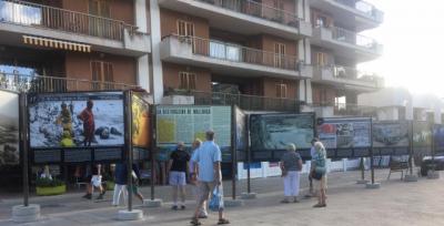 Imatge de l'exposició al passeig d'Antoni Montis
