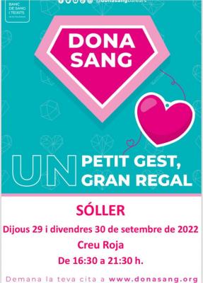 Les donacions es fan a Creu Roja
