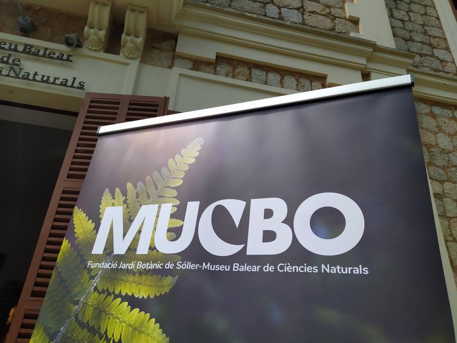 Rep una ajuda per fomentar el turisme cultural.