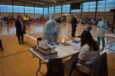 El procés de cribratge a Son Angelats.