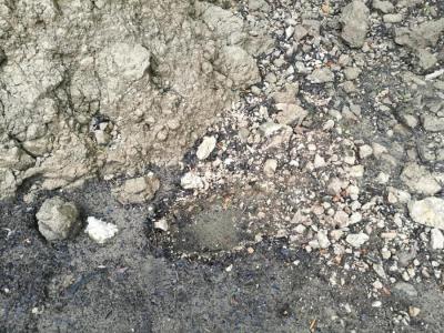 Una de les fotografies aportades pels responsables del jaciment.