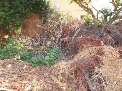 El solar, amb gran quantitat de vegetació seca