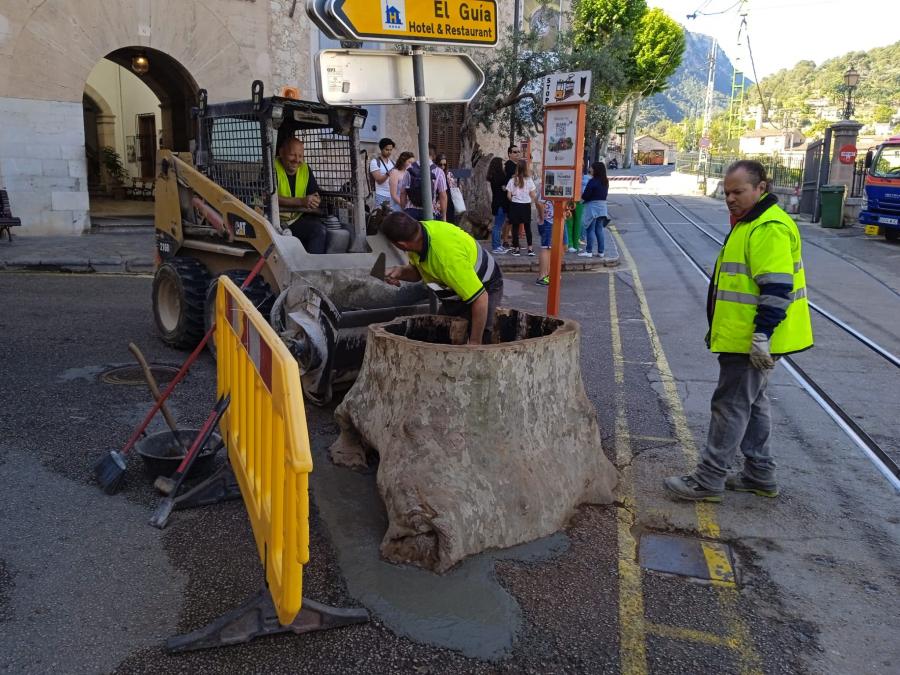 Els treballs realitzats avui dematí