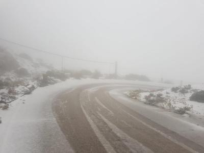 La carretera d'accés al Puig Major (Foto Alberto Darder)