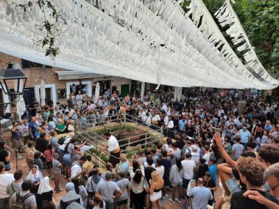El bou, avui dematí, a la plaça de Fornalutx