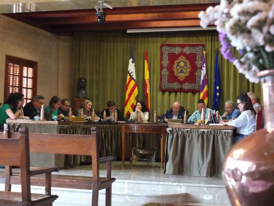 El plenari celebrat avui dematí