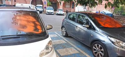 Dos dels cotxes que han estat vandalitzats.