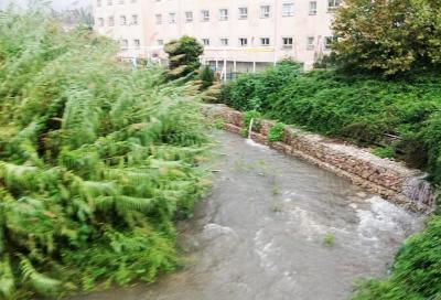 El torrent Major a l'altura de la residència