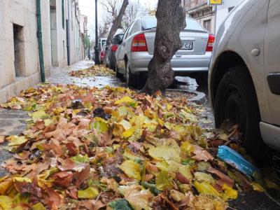 Fulles amuntegades al carrer de Sa Mar