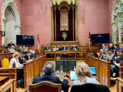 El ple del Consell, d'avui dematí