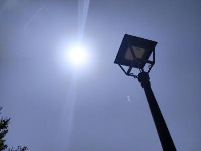 El sol brilla amb força sobre Sóller