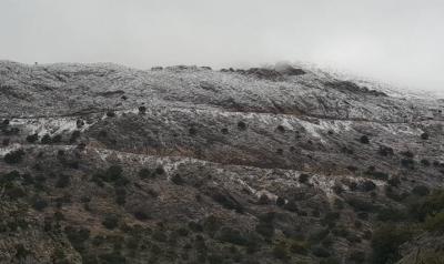 El massís del Puig Major amb neu. (Foto: Alberto Darder)