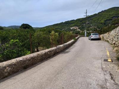 L'hort que podria ocupar el futur aparcament de Biniaraix.