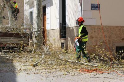Un operari retirant les branques, avui al carrer del Noguerar.