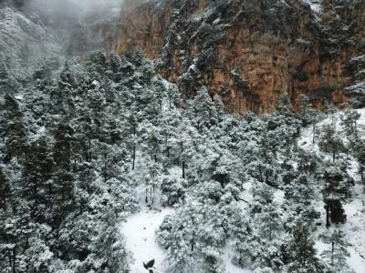 Una imatge de la nevada que va caure durant ahir dimarts. (Foto: Albert Darder).