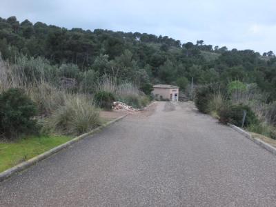Un dels carrers de la urbanització situada al Port.