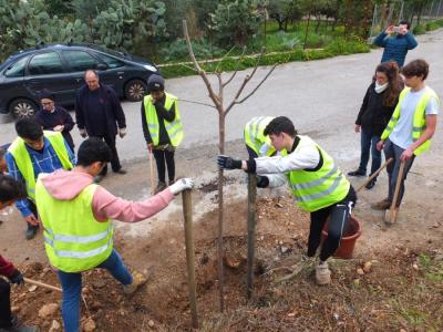 Els alumnes durant la sembra dels arbres